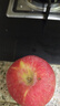 源外 正宗新疆阿克苏冰糖心苹果 净重8.5斤新鲜水果脆甜红富士丑苹果 优选中果（75-80mm） 实拍图