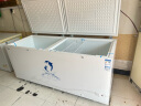 澳柯玛（AUCMA）737升家用大容量冰柜 卧式大冰箱 冷藏冷冻单温冷柜 商超雪糕柜 一级能效 BC/BD-737TC 国家补贴 实拍图