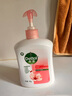 滴露（Dettol）洗手液抑菌滋润450g*2+松木450g*2儿童家庭补充装消毒温和护手 实拍图