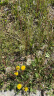佳能（Canon）CL-97 彩色墨盒(适用E568黑·大印量套装/E568白/E568/E568R) 实拍图