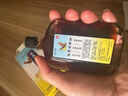 香港欧化欧博士飞鹰活络油祛风除湿舒筋活络活血止痛50ML/瓶+日本撒隆巴斯久光制药膏药肌肉疼痛膏药140贴 实拍图