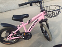 凤凰（Phoenix）儿童自行车男女宝宝脚踏车3-8-12岁儿童山地车14-18-22寸小孩单车 极氪一体轮+ 迷人粉 14寸适合身高（95-120cm） 实拍图
