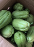 蔬果哆新鲜应季蔬菜 佛手瓜 窝瓜 鲜嫩 现摘发货 1kg (一箱2斤) 实拍图