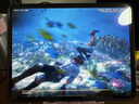 闪魔适用iPad Pro钢化膜13英寸2024款全新苹果M2芯片平板电脑贴膜全屏防摔抗指纹高清保护膜 实拍图