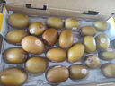 佳沛（zespri）新西兰  阳光金奇异果巨大果22粒原箱 单果重约144-175g 猕猴桃 实拍图