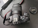 佳能（Canon）r6二代/r6三代全画幅微单相机 vlog视频数码高清R62代 EOS R6 Mark II专业微单 R6二代+RF24-105 STM镜头套机 官方标配【不含内存卡基础配件 推荐购 实拍图