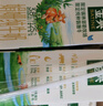 伊利金典3.8g乳蛋白 双限定娟姗纯牛奶锡林郭勒牧场整箱250ml*12盒 实拍图