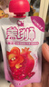 盖狮石榴蔓越莓苹果香蕉果肉果泥儿童零食袋装果汁100g享宝宝辅食谱 实拍图