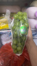 果益寿江苏阳光玫瑰葡萄【JD闪送】晴王葡萄青提子双11百亿补贴水果盒装 精品果1.5斤净重【单粒6-8g】 实拍图