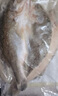 鲜活人生白蕉开背海鲈鱼无水净重500g*2条七星海鲈鱼生鲜深海鱼 实拍图