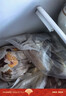 往来白丁 内蒙古牛腿肉2斤净重 新鲜黄牛肉冷冻前后腿肉烧烤火锅食材 生鲜 实拍图