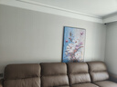 艺环宇彩绘抽象花卉客厅装饰画巨幅极简落地画肌理感壁画沙发背景墙挂画 实拍图