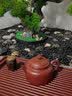 金福象纯手工紫砂茶壶宜兴原矿家用泡茶壶茶具套装朱泥德钟 【纯铜盖置】+德钟 250ml 实拍图