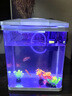 最萌鱼缸新款家用小型观赏鱼鱼缸三合一节能水泵过滤制氧一体机乌龟缸 24X17X28（带盖豪华套餐） 实拍图