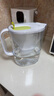 碧然德（BRITA） 家用滤水壶 净水壶滤芯 Maxtra 多效滤芯 3枚装 实拍图