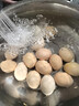 新鲜农家谷物鲜鸡蛋  现捡现发 破损包赔 新鲜营养 单枚50g-60g 30枚装 实拍图