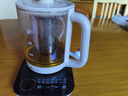 小熊（Bear）纯钛养生壶 煮茶壶煮茶器 炖煮一体烧水壶电热水壶 24H恒温 0胶水加大滤网 1.5L YSH-E15Z2 实拍图