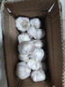 【百万单爆品】紫白皮蒜水果大蒜超市生鲜蔬菜调料即食蒜 【优选】 1斤 单果3.5-5cm 实拍图