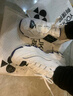 斯凯奇（Skechers）女鞋夏季厚底老爹鞋百搭透气熊猫鞋软底舒适外穿休闲运动鞋11959 实拍图