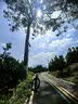凤凰电助力自行车锂电变速电动山地车青少年通勤代步NFC仪表电瓶车 Q1青耀一体轮+中置减震+速度传感+线碟 25AH/禧玛诺7级变速/26寸 实拍图