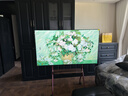 创维电视65A5F艺术款 65英寸448分区Mini LED 哑光屏显无缝贴墙壁画电视机65吋壁纸电视国家补贴65A5FT 实拍图