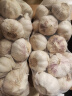京东买菜山东金乡蒜大蒜出口标准精选大蒜头蔬菜调料单果5cm 出口标准网兜装箱 455g 5-5.5cm特大 实拍图