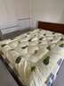 雅鹿·自由自在 抗菌纤维被子 被芯单人春秋被褥棉被4斤150x200cm 菠萝密语 实拍图