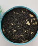 一杯香茶叶茉莉花茶银针横县特级200g2025新茶礼盒装花草茶自己喝送礼 实拍图