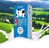 天润新疆浓缩全脂早餐纯牛奶MINI砖180g*12盒(无添加剂) 礼盒装 实拍图