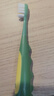 修洁儿童牙刷宝宝儿童牙刷恐龙细软毛牙刷3岁以上训练阶段呵护牙龈 萌趣恐龙牙刷（绿色） 2支 实拍图