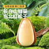 三只松鼠东北松子500g/袋 手剥开口 每日坚果炒货休闲零食地方特产 实拍图