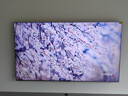 TCL电视 85Q10L 85英寸 极景QD-Mini LED 蝶翼华曜屏 万象分区 绚彩XDR 5000nits 国家补贴20% Q10K 实拍图