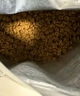 皇家皇家成猫猫粮 营养均衡 F32 通用粮 1-7岁 4.5KG 实拍图
