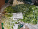 带根香菜100g 实拍图