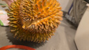 榴恋莱新鲜泰国进口金枕榴莲水果鲜榴莲时令 巴掌新鲜榴莲水果 精选2-3斤 实拍图