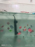 淘歌 TG 鱼缸加热棒防爆玻璃款100W 精准温控自动恒温 水族箱加热器 实拍图