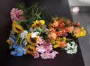 草木鲜生假花仿真花摆设小雏菊绿植装饰花卉真花高档花艺干花束洋甘菊摆件 实拍图