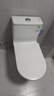 九牧（JOMOO）11322-2-2/41KA-1 抗菌一级水效大冲力浴室马桶虹吸坐便器400坑距 实拍图