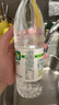 康师傅 冰红茶can 310ml*24听 茶饮料小罐整箱装 实拍图