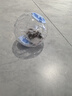 宠尚天 仓鼠跑球运动玩具外带出门金丝熊滚轮跑球水晶球跑球15cm 实拍图