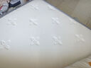 慕胜维格弹簧床垫1.8x2米椰棕乳胶床垫子1.5x2米护脊床垫1.8米×2米 20cm芦荟深睡悦享（适中） 180cm*200cm 实拍图