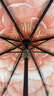 蕉下（beneunder）防紫外线遮阳伞三折双层黑胶晴雨伞防晒伞BM664花椿 实拍图