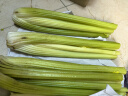 京鲜生山东新鲜大西芹净重4.5斤榨汁现挖芹菜鲜嫩蔬菜 去半叶源头直发 实拍图