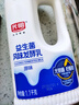 光明原味酸奶酸牛奶 1100g*1 益生菌风味发酵乳 实拍图