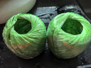 九千谷打包绳塑料捆扎绳搬家纸箱包装绳草球绳全新料 绿色150g*5卷3995 实拍图