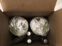 瑷露德玛芦荟胶祛痘凝胶200g*2 补水保湿舒缓修护睡眠面膜芦荟凝胶护肤品 实拍图