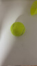 天龙（Teloon）网球训练球进阶初学专业比赛网球耐磨 801初学训练-散装30个送背带手胶 实拍图