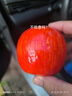 萌趣仿真苹果水果汽车摆件电动车内车载中控台摆件大屏导航装饰品 平平安安1个【红色，带无痕胶】 实拍图