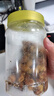 老香农香酥蚕豆牛肉味500g兰花豆休闲特产小吃下酒菜坚果炒货豆类小零食 实拍图