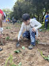 保联户外工兵铲多功能折叠便携式铁铲子爬山露营野外钓鱼挖土铁锹 实拍图